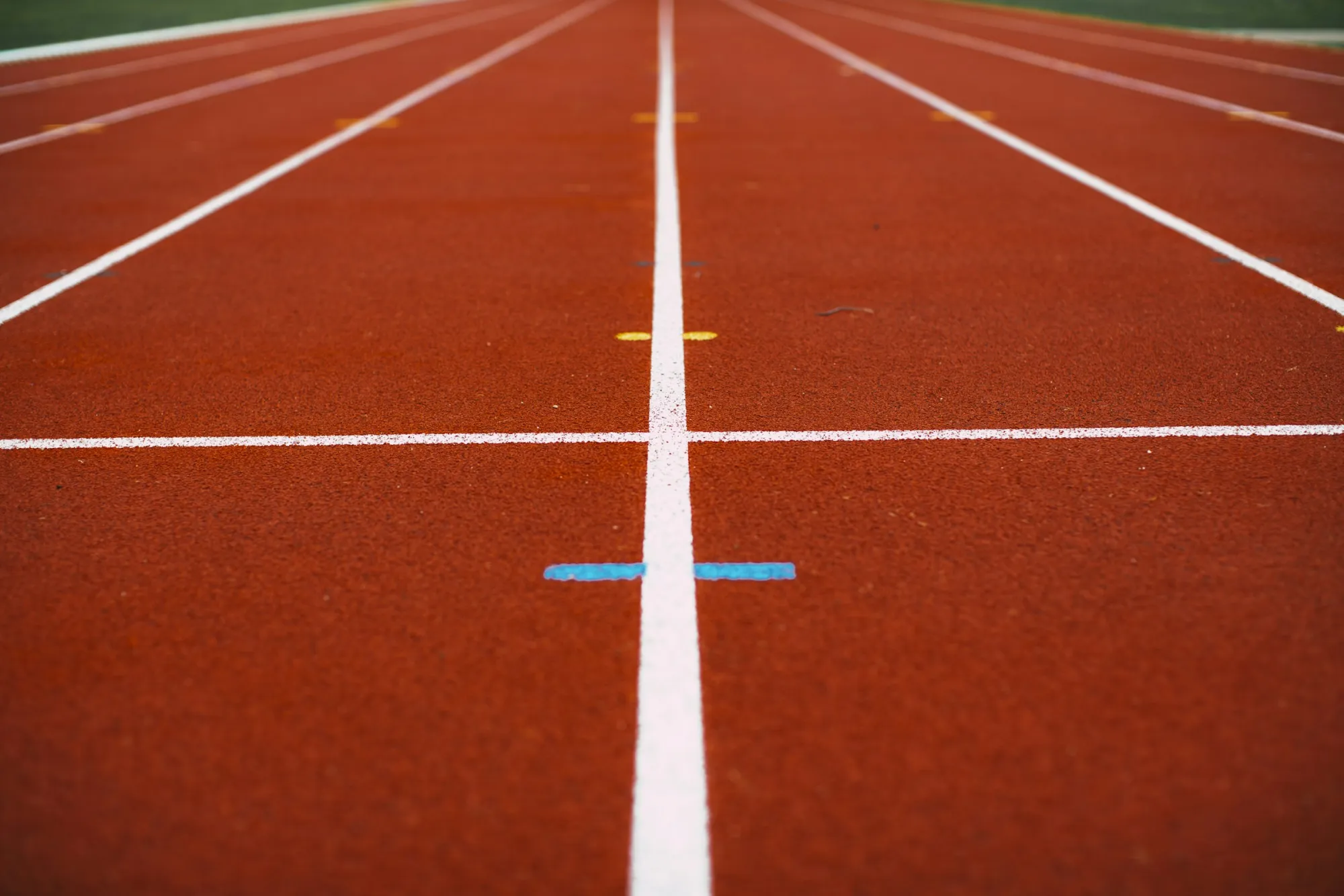 Close up of the white lane lines on a red running track
