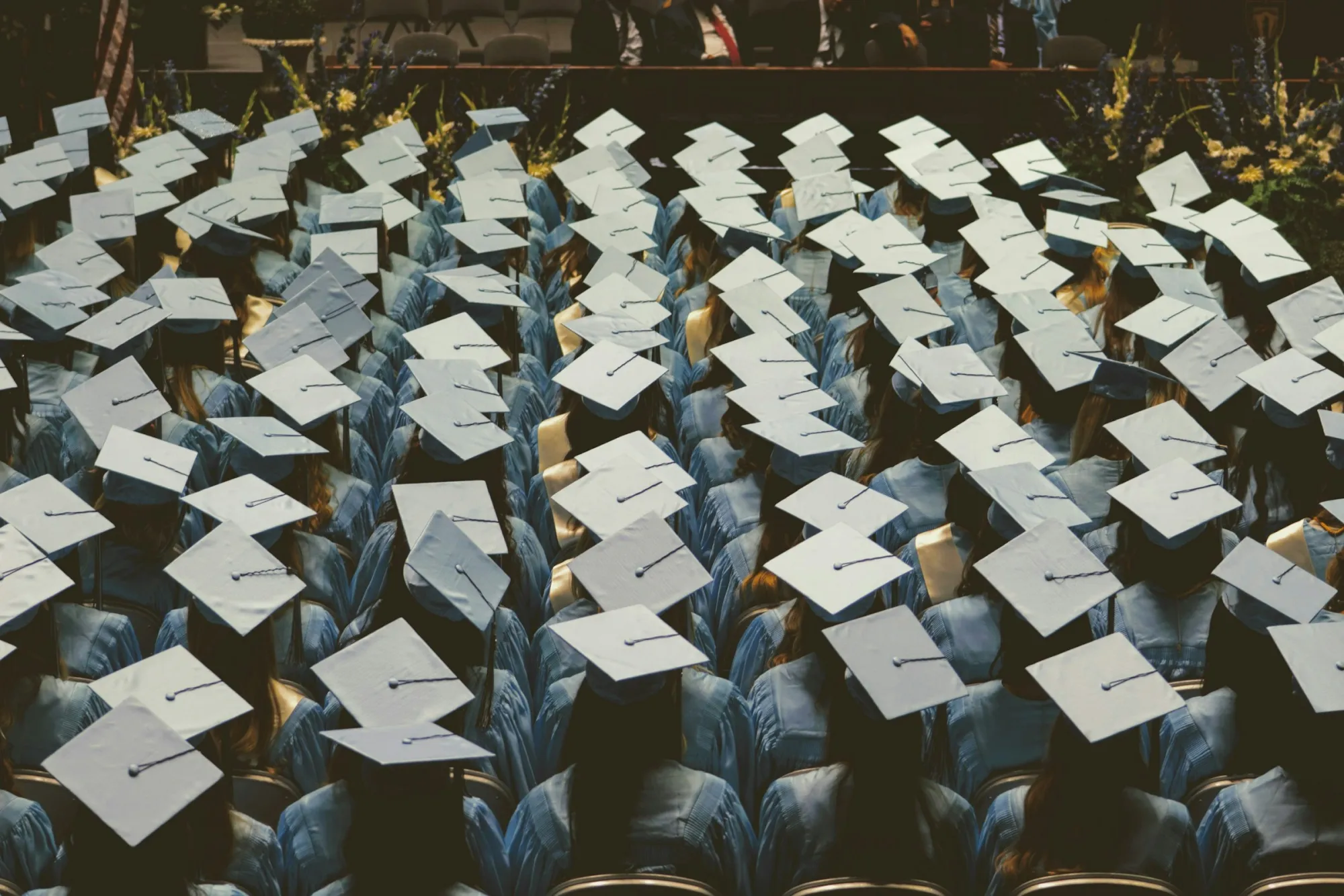 Filas de graduados con birrete y toga azul claro vistos de espaldas durante una ceremonia de graduación